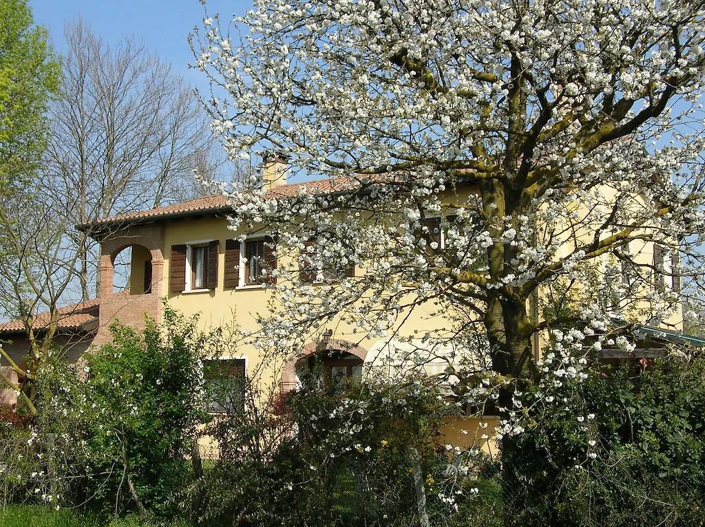 Bed and Breakfast B&B Ai Ciliegi Mogliano Veneto